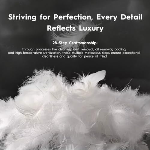 Globon Standard Size Feather Down Pillow – Medium Firm Hotel-Quality Support
