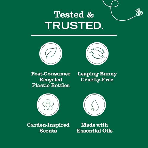 Liquid Hand Soap Set with Seasonal Scents - Moisturizing & Cruelty-Free
