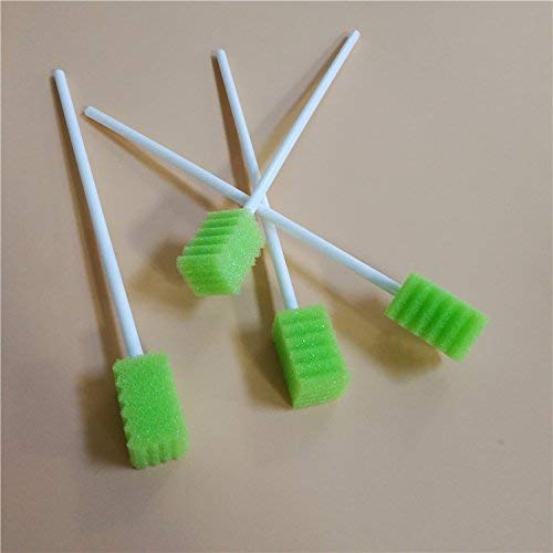 250 Pack Fruit Green Latex-Free Dental Mouth Swabs with Long Handle - Individually Wrapped, Oral Cleaning Sponge
