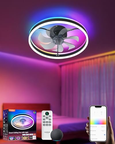 Black 20 Inch RGB Ceiling Fan with Light - Voice Control & Music Sync