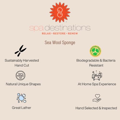 Spa Destinations Natural Sea Wool Sponge 5-6" Natural Renewable Resource Bath & Shower