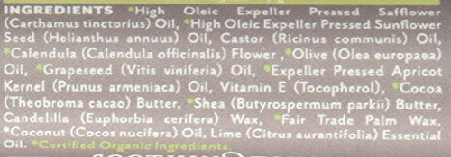 Soothing Touch Coconut Lime Lip Balm Pack of 12 - Natural Moisturizer, 0.25 oz Each
