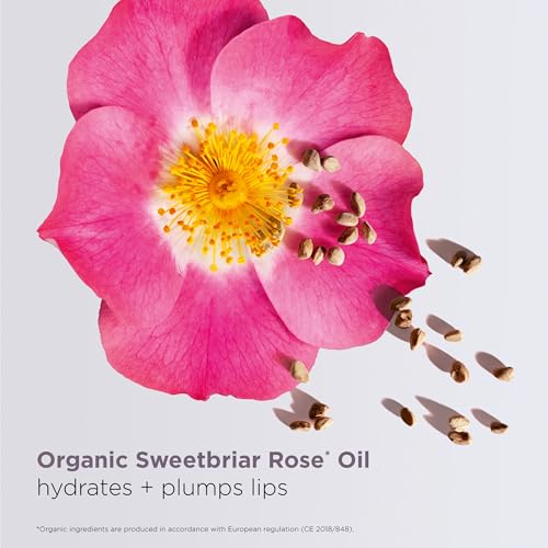 Limited Edition Black Clarins Lip Comfort Oil - Hydrating, Plumping Lip Oil with Sheer Shine