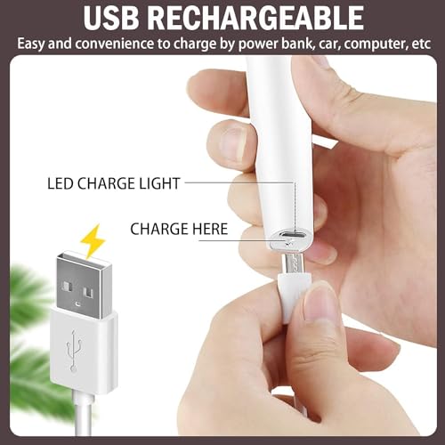 Abhiya's Facial Hair Remover & Eyebrow Trimmer - 2 in 1 Electric Women's Face, Nose & Body Shaver - Painless Epilator - USB Rechargeable with LED Light