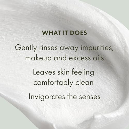 Origins 2-Piece Checks and Balances Frothy Face Wash Bundle Set for Home & Away | Gently Cleanses All Skin Types | With Mint