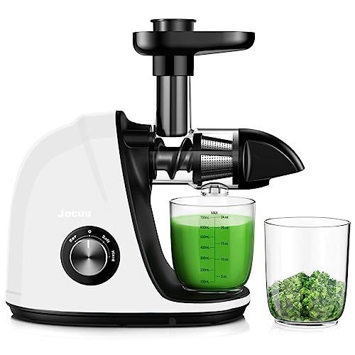 Slow Masticating Juicer Machine with 2-Speed & Quiet Motor - Easy to Clean