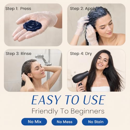 Black Hair Dye Shampoo 3-in-1 Instant Color for Gray Coverage - Variation of THIS listing