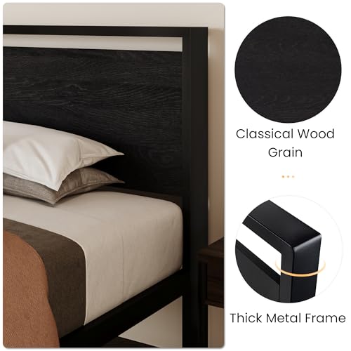 SHA CERLIN 14 Inch Twin Metal Platform Bed Frame with Wooden Headboard - Black Oak