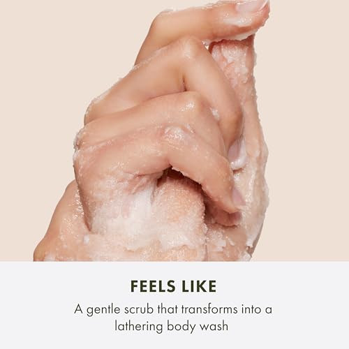 Ginger Body Scrub with Sugar - Exfoliating & Cleansing 6.7 Fl Oz