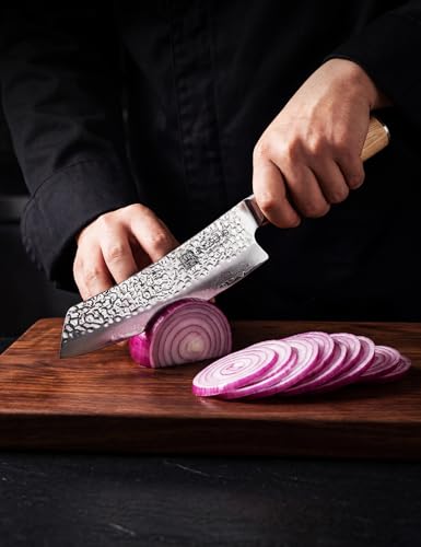 Japanese Chef Knife Set VG-10 Damascus Steel 67-Layers Professional Kitchen Knives