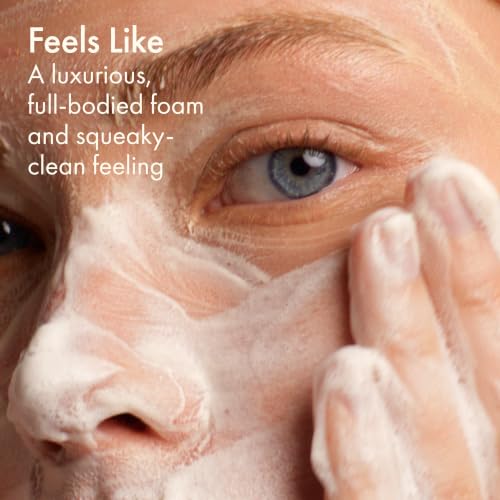 Origins Checks and Balances Frothy Face Wash 8.5 Fl Oz – Gentle Foaming Facial Cleanser for All Skin Types