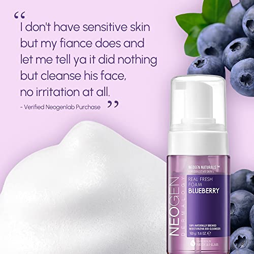 DERMALOGY by NEOGENLAB Blueberry Real Fresh Foam Cleanser 5.6 Fl Oz - Gentle Hydrating Facial Wash