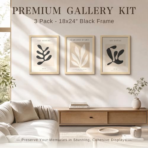 VCK 18x24 Poster Frame Set of 3 - Natural Solid Wood Wall Mounts Variation of THIS listing