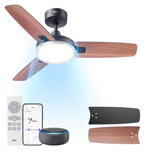DREO Black 42-Inch Smart Ceiling Fan with Lights & Remote