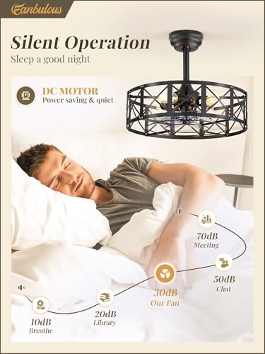 20-Inch Caged Ceiling Fan with Lights and Remote - Black Fanbulous