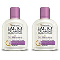 Lacto Calamine Daily Face Moisturizing Lotion for Oily Skin, Pack of 2, 4.06 Fl Oz (120 ml), for Pimples, Acne, Dark Spots, and Blackheads
