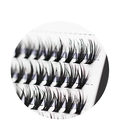 Bodermincer Lash Extension 240pcs D Curl 30D Cluster Individual Cluster Lashes (30D-12mm)