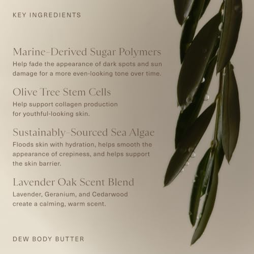 Oak Essentials Dew Body Butter 5.3oz Hydrating Moisturizer No Color