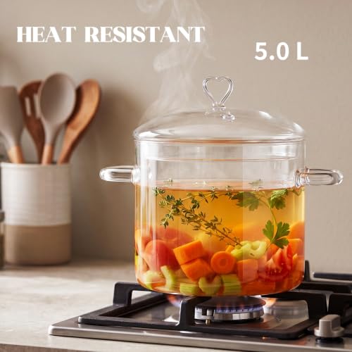 ZUFRIEDENIA 5.0L Glass Cooking Pot with Lid | Heat-Resistant, Transparent Kitchenware