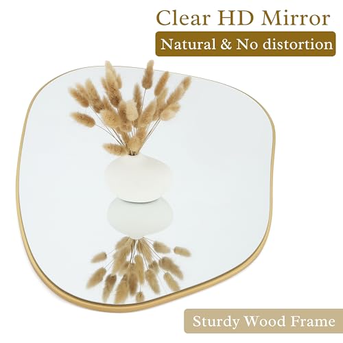Perfnique 40x26 Inch Irregular Gold Wall Mirror for Bathroom & Living Room
