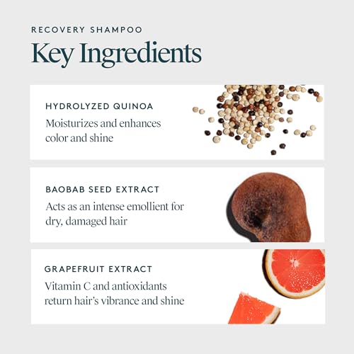 VIRTUE Recovery Sulfate-Free Shampoo with Keratin & Baobab Oil - 17 Fl Oz - Damaged & Color Safe