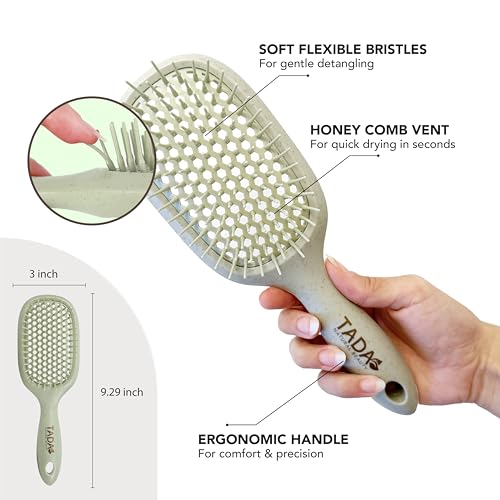 Detangler Hair Brush Set - 4PK for Curly, Thick, Wavy & Thin Hair with Ventilation Holes