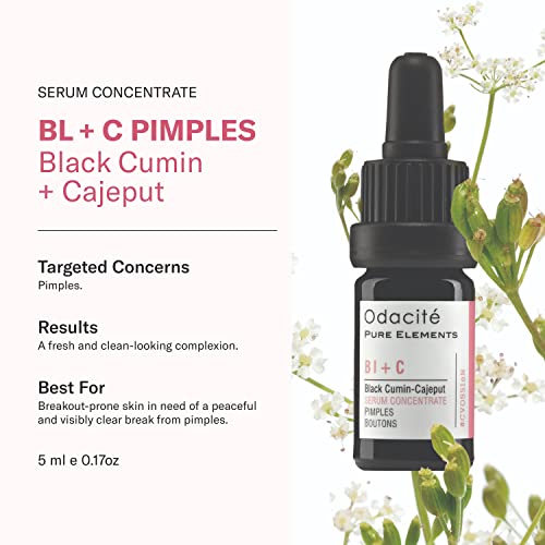 Odacit? Bl+C Serum Concentrate for Face, Luxury Black Cumin + Cajeput Pore-Clearing Facial Oil for Pimples & Blemishes, Vegan Vitamin E Spot Treatment for Oily, Acne-Prone Skin, 0.17 fl oz