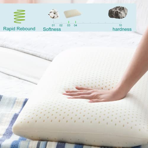 Queen (Mid Loft) Talalay Latex Pillow - Natural Cooling Support for Side, Back & Stomach Sleepers