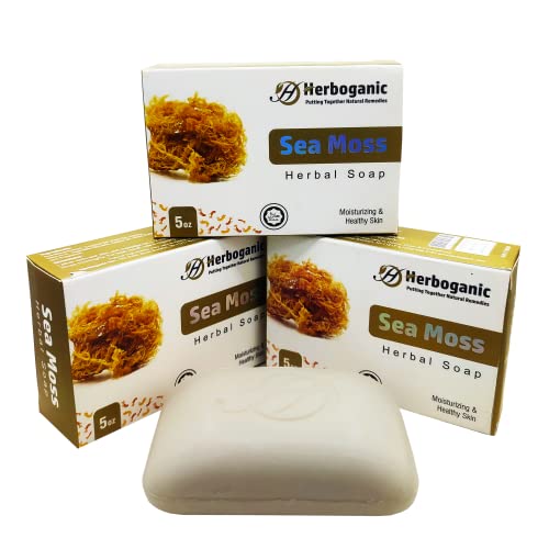 HERBOGANIC Sea Moss Herbal Soap | Pack of 3 of 5oz soap Bar | Natural Bar Soap for Face and Body | Hydrating and Nourishing | Suitable for Men and Women