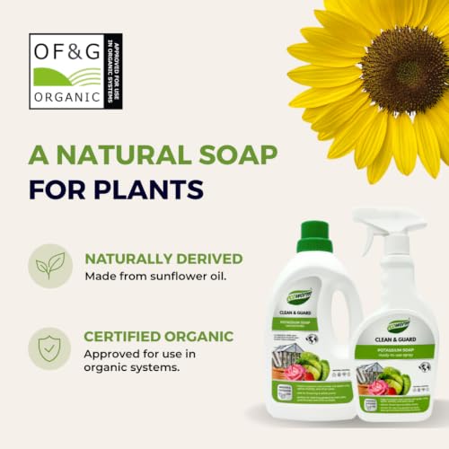 Horticultural Plant Soap Concentrate for Leaf Cleaning & Care – EcoWorm 34 fl oz