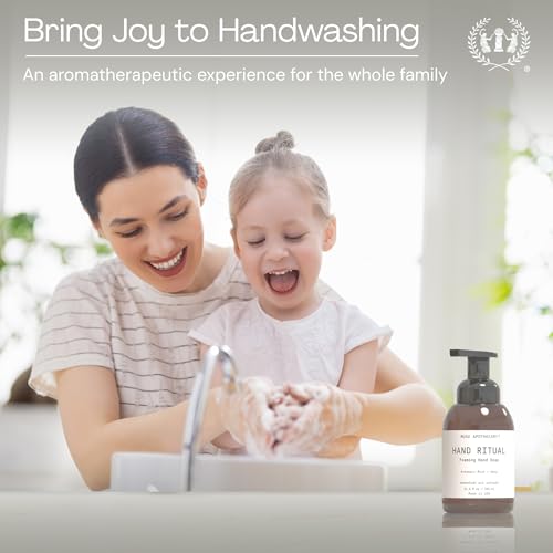 Aromatherapy Foaming Hand Soap Set - Aloe, Eucalyptus & Lavender, 3 Pack - 11.5 oz