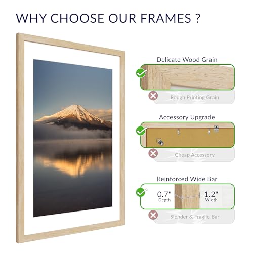 Natural Oak Wood Poster Frame Set - 24x36 with 20x30 Mat, 3 Pack - Variation: Natural Oak / 24X36