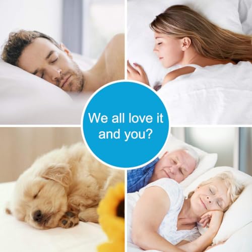 Queen Size Mattress Topper Pillow Top Mattress Cover Quilted Fitted Protector 8-21" Deep Pocket White