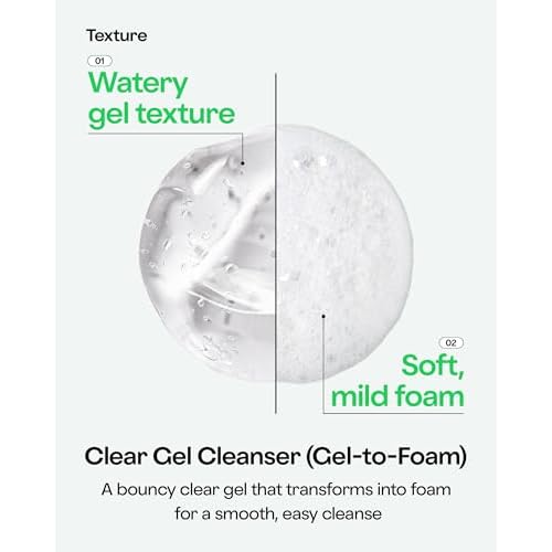 HOLIKA HOLIKA Aloe Facial Cleansing Foam, 5.07 fl.oz.