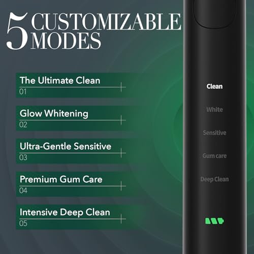 Rechargeable Sonic Electric Toothbrush with 5 Modes & 4 Brush Heads