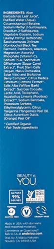 Citrus Kombucha Facial Cleansing Gel for Oily Skin - 6 Fl Oz Pack of 2