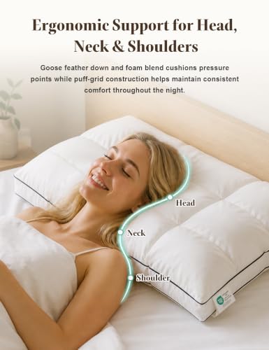 Queen Size Dual-Layer Goose Feather Down Pillow Set of 2 White