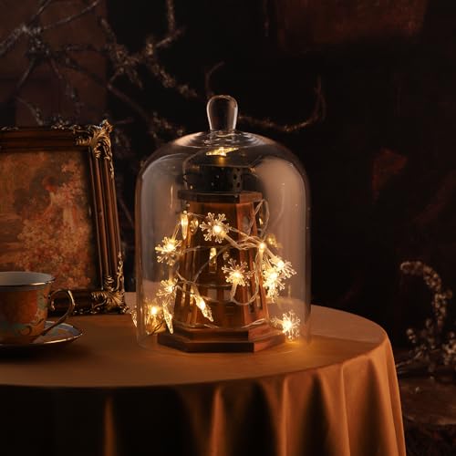 14-Inch Handmade Glass Cloche Dome - Thick & Sturdy for Plants, Trinkets, Cakes, LED Lights, Candle - Variation 10"x14"