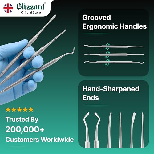 Ingrown Toenail File Set by Blizzard ? 3 Piece Double-Ended Tool Kit with Blacks File, Nail Cleaner and Lifter for Cleaning and Care of Ingrown Toenails - Premium Stainless Steel