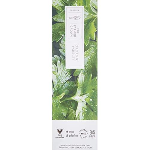 FarmHouse Fresh Day Breakthru Day Serum