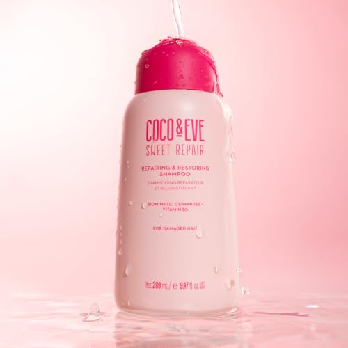 Vegan Sulfate-Free Hair Shampoo for Damaged & Dry Hair - 9.47 Fl Oz
