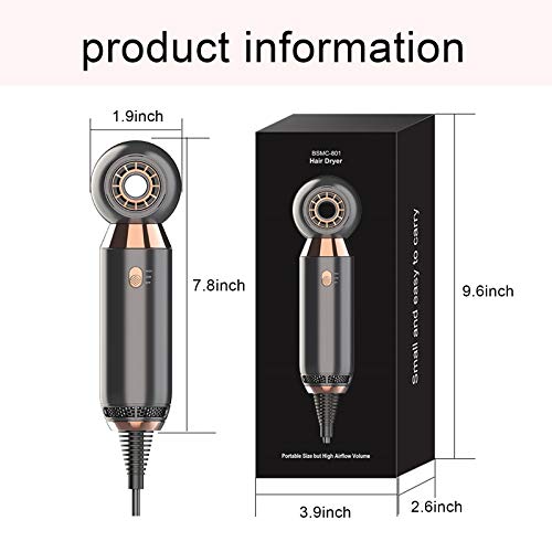 Gray Professional 800W Compact Hair Dryer with Concentrator Nozzle - Lightweight Travel & Home Use