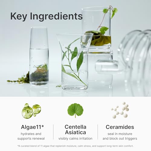 Calming Hydration Cream, Barrier-Repairing Korean Moisturizer with Ceramide NP, Niacinamide, Panthenol & Centella, Soothing Face Cream for Redness-Prone and Oily Skin, 50ml / 1.69 fl.oz.