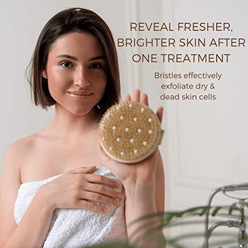 Dry Brushing Body Brush Set for Skin Exfoliation & Toxin Removal - Long Handle Back & Face Brush Bundle