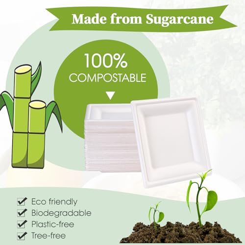 10 Inch Compostable Square Paper Plates - 300 Pack Heavy Duty Disposable Dinnerware