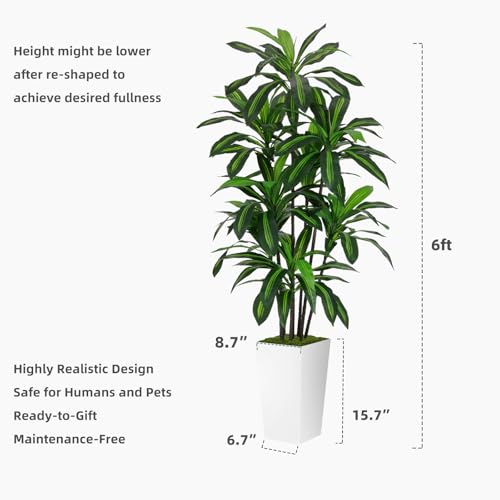 Artificial 6FT Dracaena Tree with Black Tall Planter - Realistic Indoor Decor