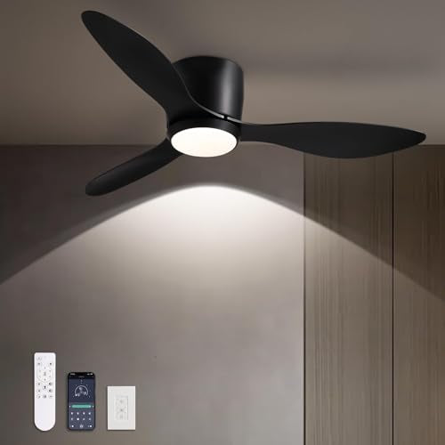 LUDOMIDE 42 Inch Black Ceiling Fan with Lights, Remote & Wall Control, Dimmable, Reversible Motor, Indoor Flush Mount