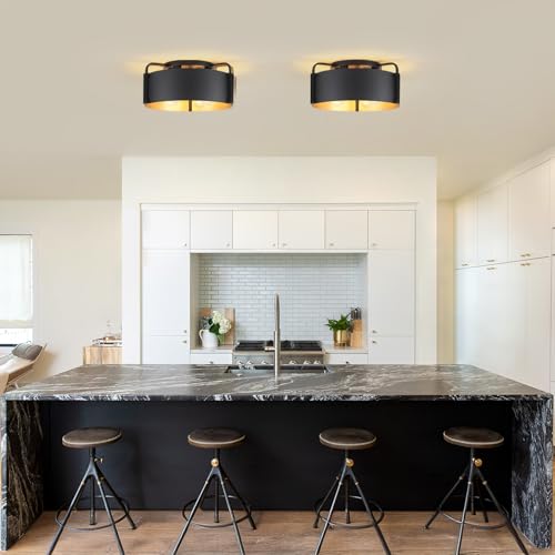 Black 4-Light Flush Mount Ceiling Light Fixture with Gold Inside - Modern Kitchen & Living Room Lighting - Variation of THIS listing