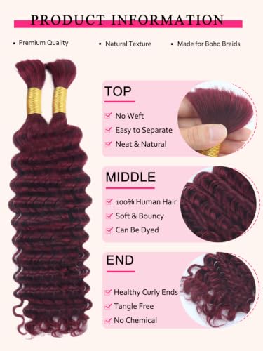 B-fashion Burgundy Human Braiding Hair Extensions 16 Inch Bulk Bundles for Boho & Knotless Braids