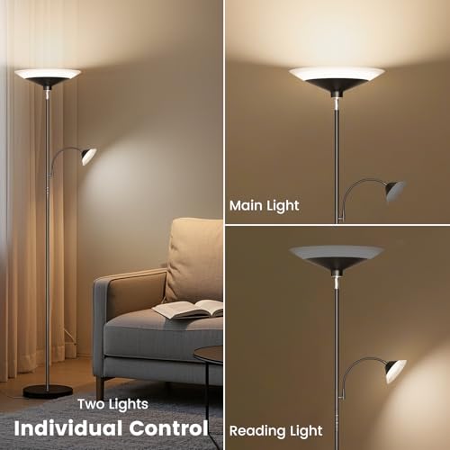 SIBRILLE Black 2-in-1 Dimmable Floor Lamp with Remote & Touch Control